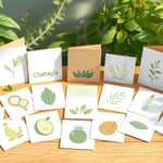 Consulta si hay opciones de tarjetas ecológicas